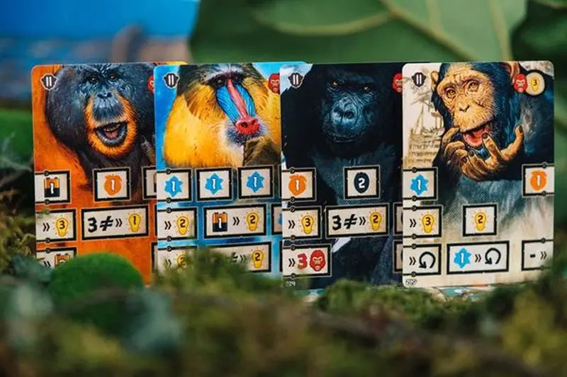 After Us (FR-EN) - AdventureBox | Jeux de Société