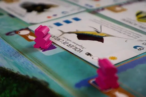 Finspan (fr) - AdventureBox | Jeux de Société