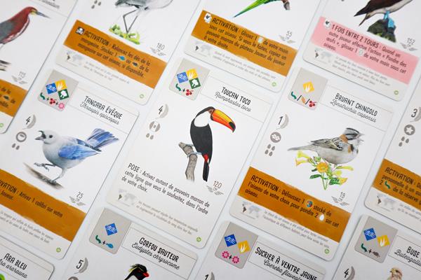 Wingspan – Extension Amériques (Français) - aperçu du plateau et du gameplay